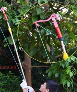 Kéo cắt tỉa cành trên cao 1 keo cat canh tren cao 3