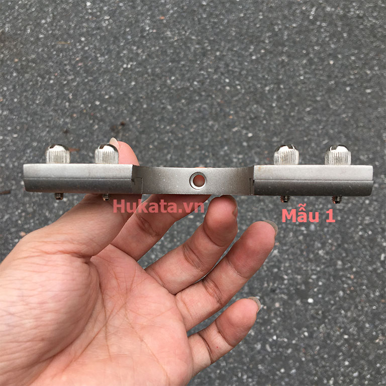 Cánh phượng ná cao su 13 canh phuong sung na cao su mau 1 mat tren