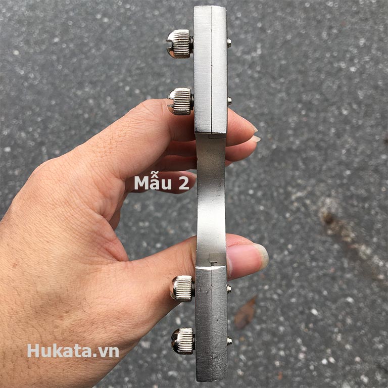 Cánh phượng ná cao su 19 canh phuong sung na cao su mau 2 3