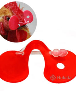 Kính đeo mắt cho Gà 1 kinh deo cho ga 02