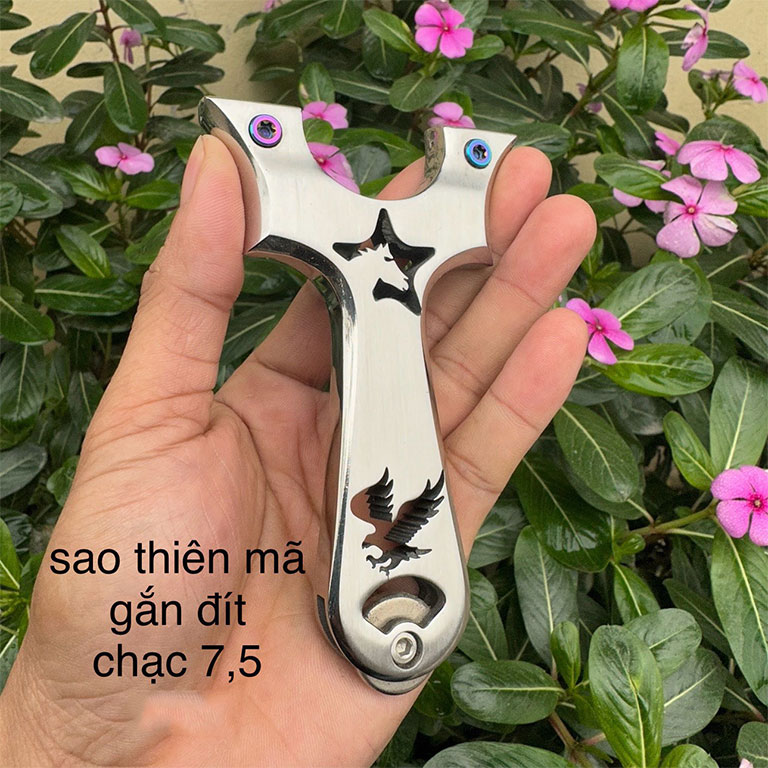 sao-thiên-mã-nam-cham sao thien ma nam cham