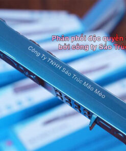 ee88aa ee88app S300 2 sao dien tu s300 tieng viet 3
