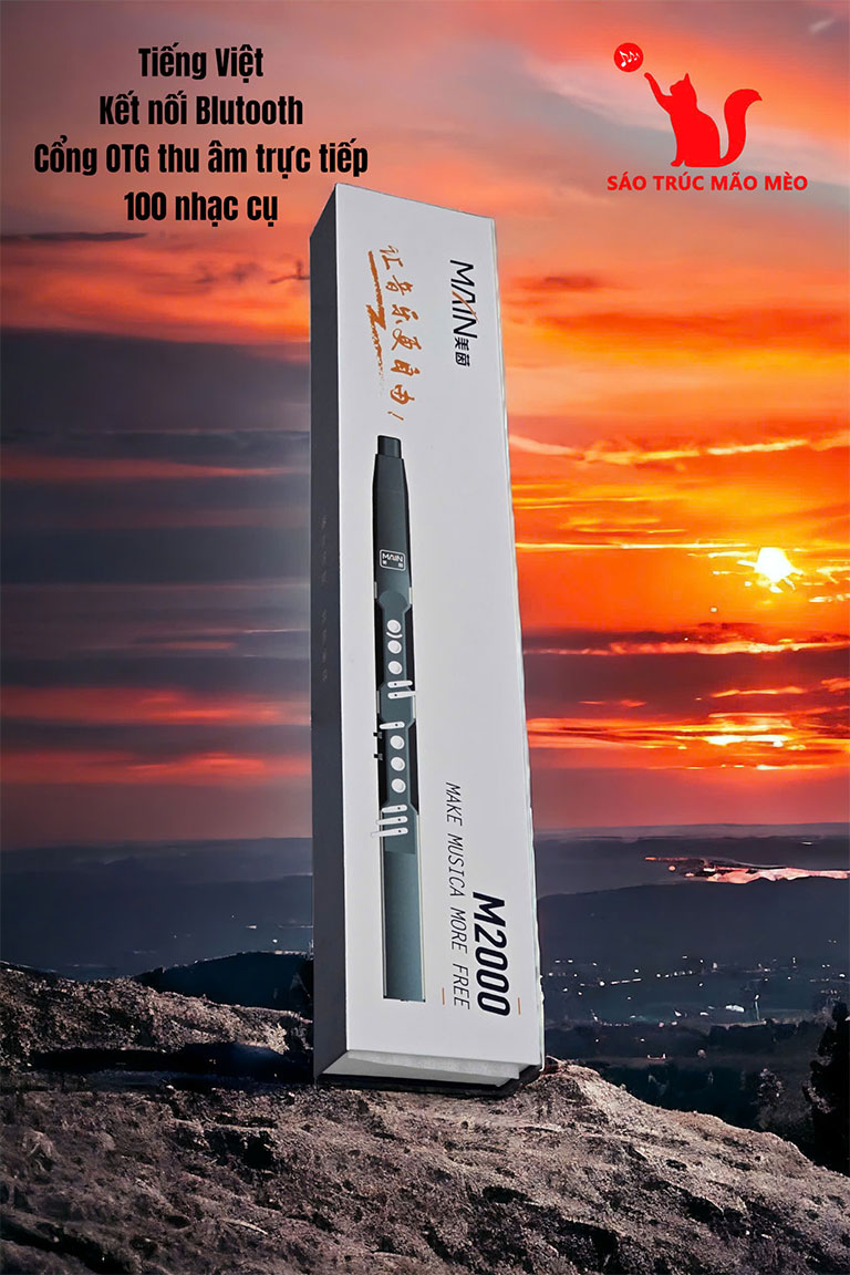 sáo-điện-tử-M2000-3 sao dien tu M2000 3
