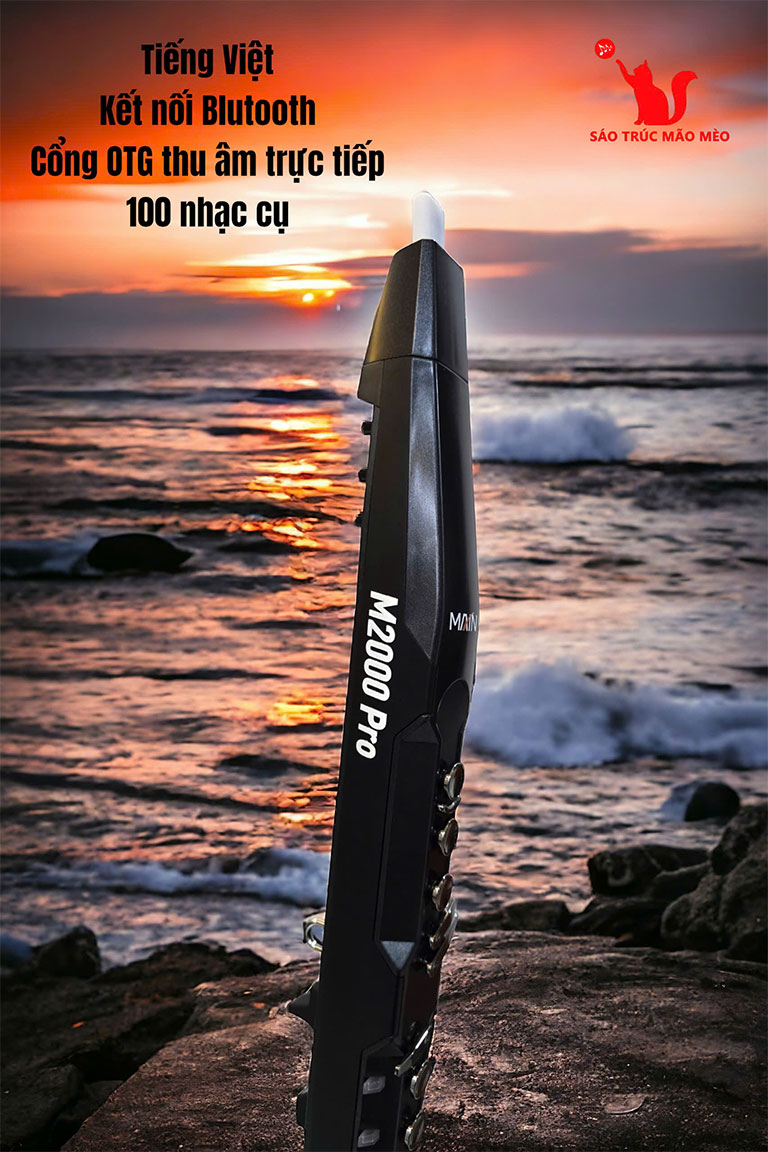 sáo-điện-tử-M2000-4 sao dien tu M2000 4