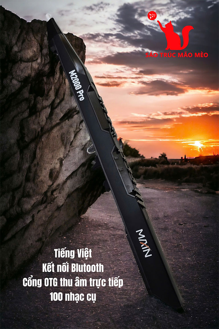sáo-điện-tử-M2000 sao dien tu M2000